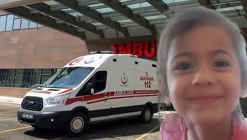 Roza'nın Kaybı: 10 Ayda Yaşanan Üzücü Gelişmeler