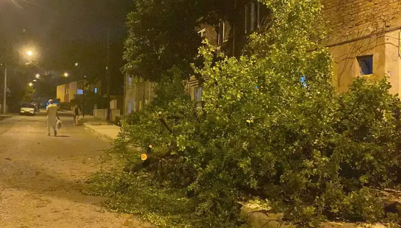 Karabük'ü Vuran Fırtına: Sonuçları ve Etkileri Neler Olacak?