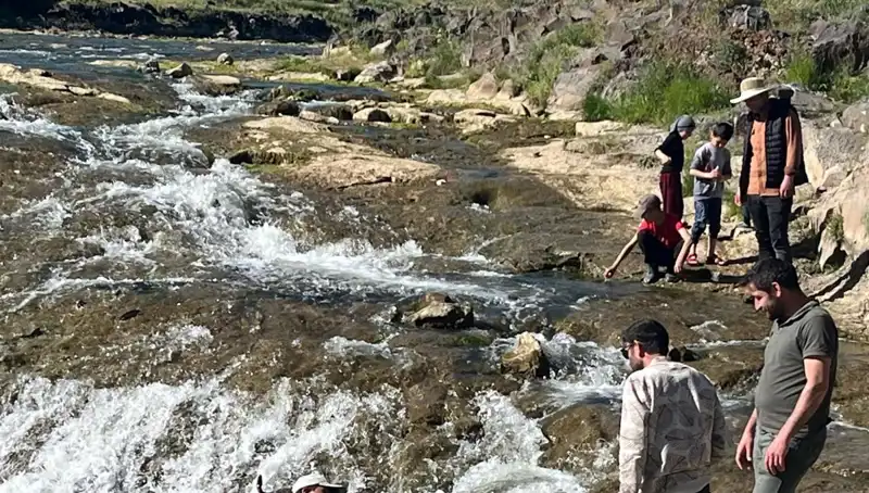 İnci Kefali Göçü: Doğanın Harikası Turistleri Büyülüyor