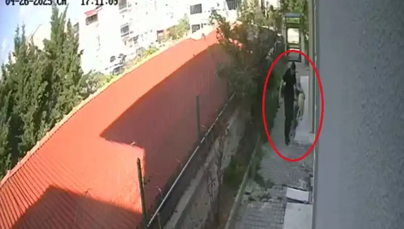 Veteriner Doktorun Şok Eylemi: Evdeki Köpekleri Parçalayıp Öldürdü!