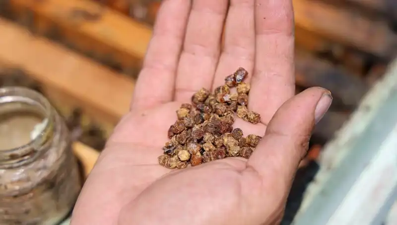 Eski Atıklar Şimdi Altın Değerinde: Kilo Fiyatı 3000 TL!