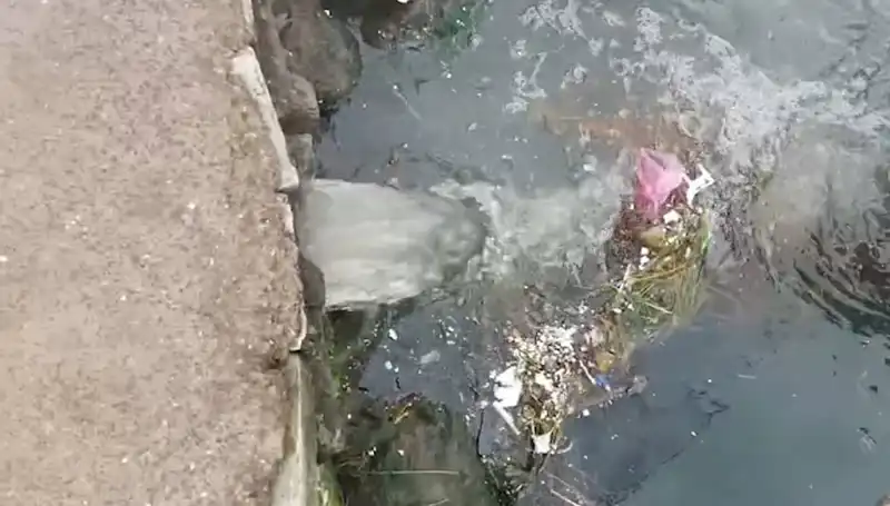 Çınarcık Belediyesi'ne Kirlilik Sebebiyle 1,3 Milyon TL Ceza Kesildi!