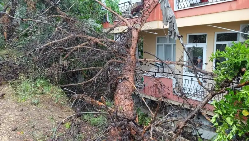 Sel nedeniyle yapılar çökmeye devam ediyor: Bina üzerine devrildi