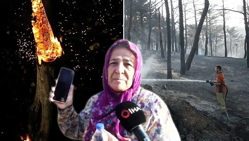 Çanakkale'deki Orman Yangınları Kontrol Altına Alındı: Kayıp Zaman ve Hayatlar