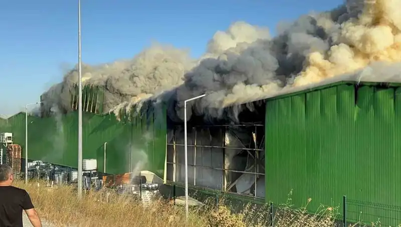 Balıkesir'deki Fabrika Yangınında İki İşçi Hayatını Kaybetti: Bir Tutuklama Gerçeği
