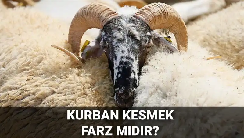 Kurban Kesmek Farz mı? Diyanet'in Görüşü ve Şartları