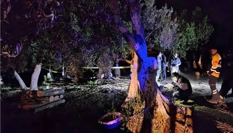 Çiftlikteki Baltalı Vahşet: Sır Perdesi Aralanıyor, Bir Kişi Tutuklandı!