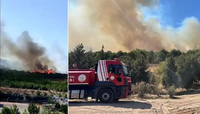 Gebze’de Doğa Felaketi: Orman Yangını Hayatı Tehdit Ediyor
