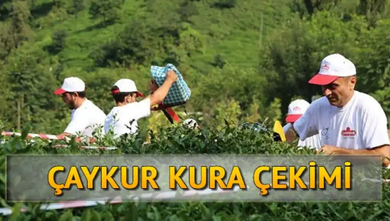Çaykur Canlı Kura Sayfası: İsim Listesine Ulaşmanın Yolları