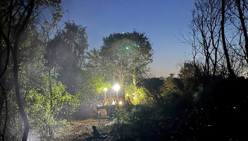 Edirne'deki Çetin Orman Yangını Erken Önlemlerle Kontrol Altına Alındı