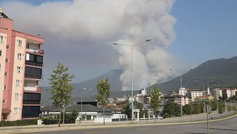 Denizli'deki Orman Yangını: Bir Şüpheli Gözaltında, Neler Oluyor?