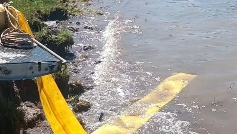Göletlere Yavrularını Bırakan Doğa Severler, Balık Popülasyonunu Artırıyor