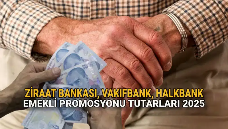 2025'te Emekli Maaş Promosyonlarını Şekillendiren Kamu Bankaları