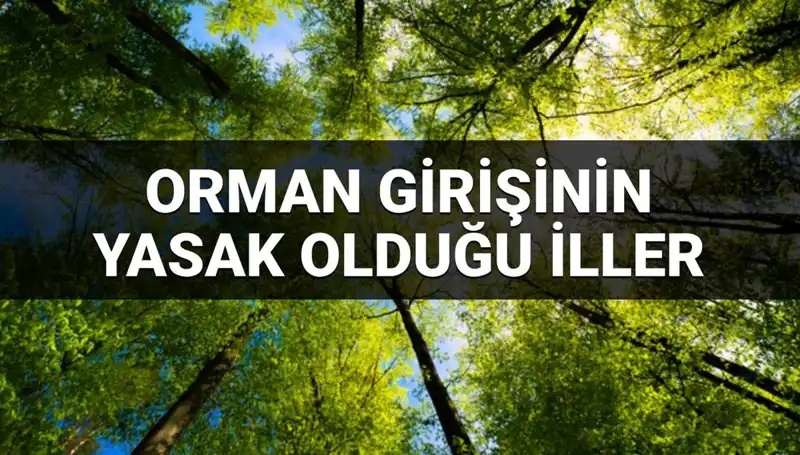 2025’te Orman Girmesi Yasaklanan İllerin Listesi Açıklandı!