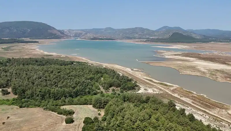 İzmir'de Tehlike Çanları Çalıyor: Yüzde 50 Düşüş Neden Oluyor?