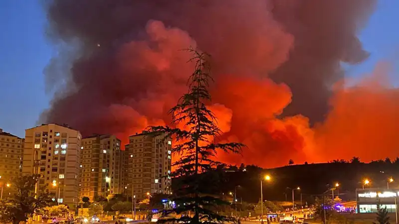 Bursa'da Yangınlar Şehri Tehdit Altına Alıyor: Vatandaşlar Tedirgin!